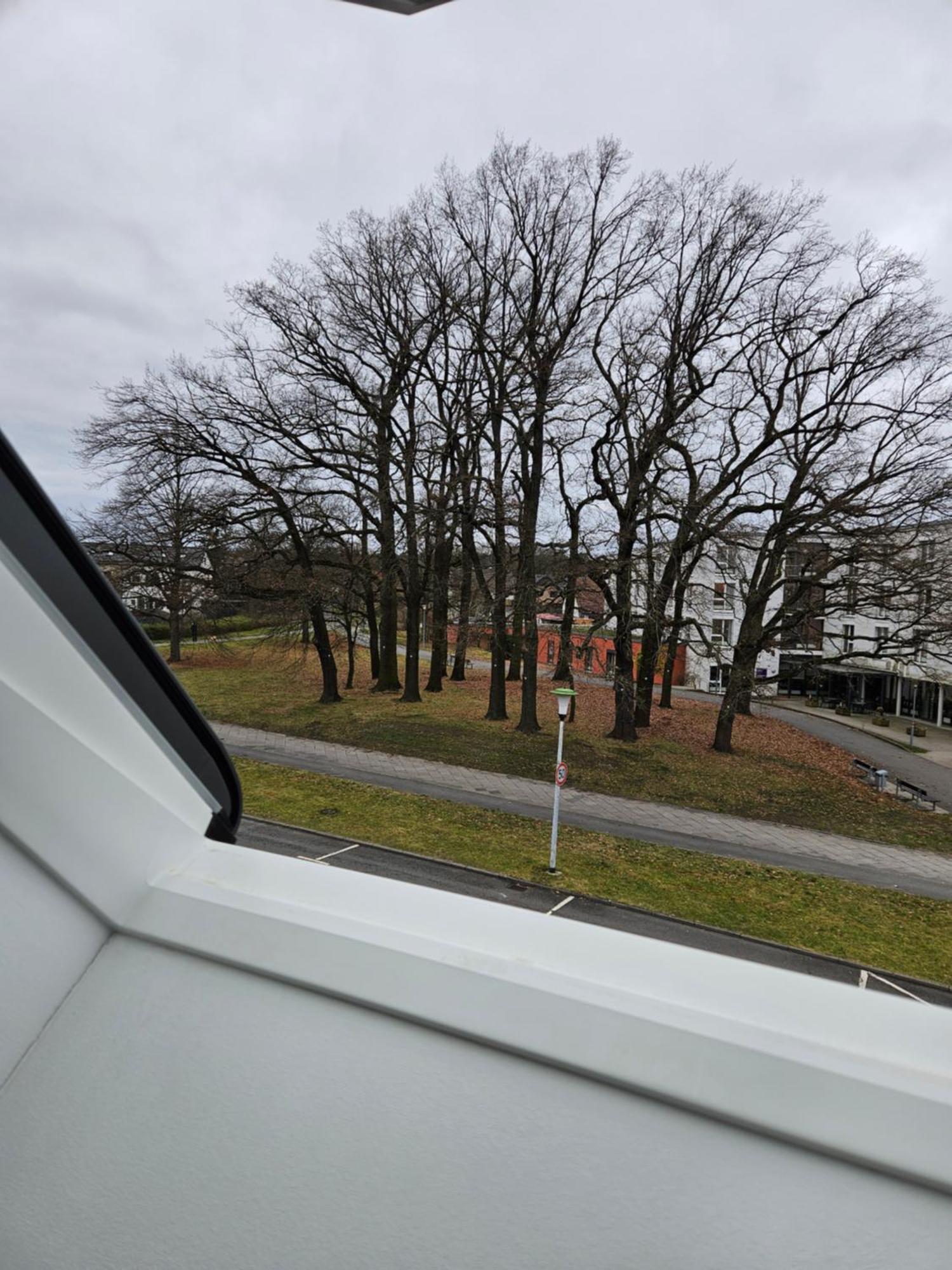 3 Zimmerwohnung Am Neuer Teich Wolfsburg Buitenkant foto